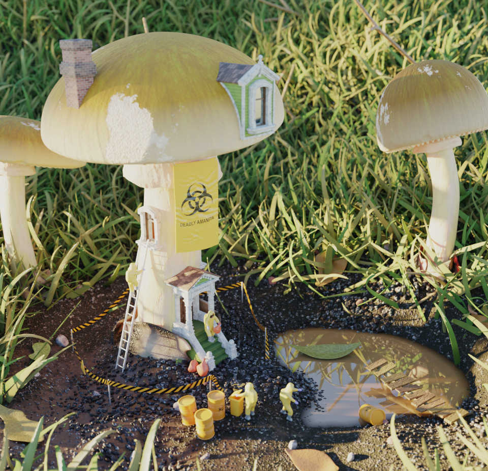 Mushroom House